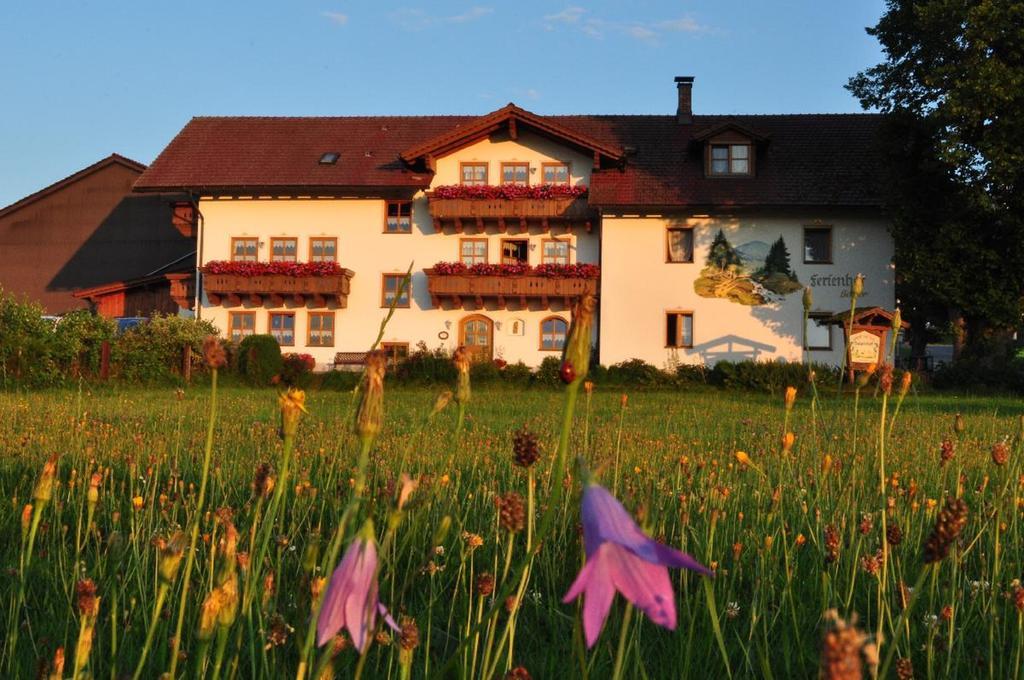 Apartamento Bauernhof Bauer Zwiesel Exterior foto